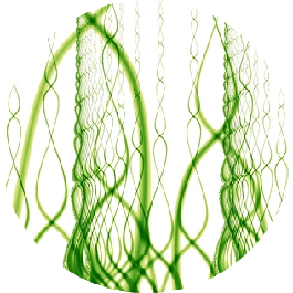 Vetiver Gharb